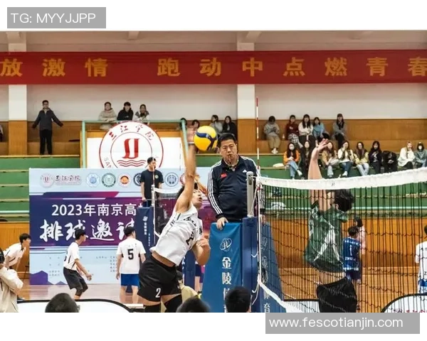 成都排球队的拼搏之路欧锦赛背后的感人故事与奋斗精神